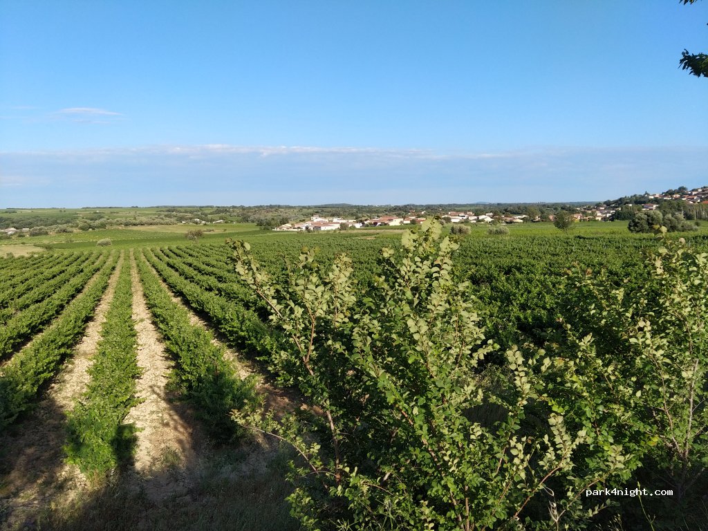 geoSPOT — foto