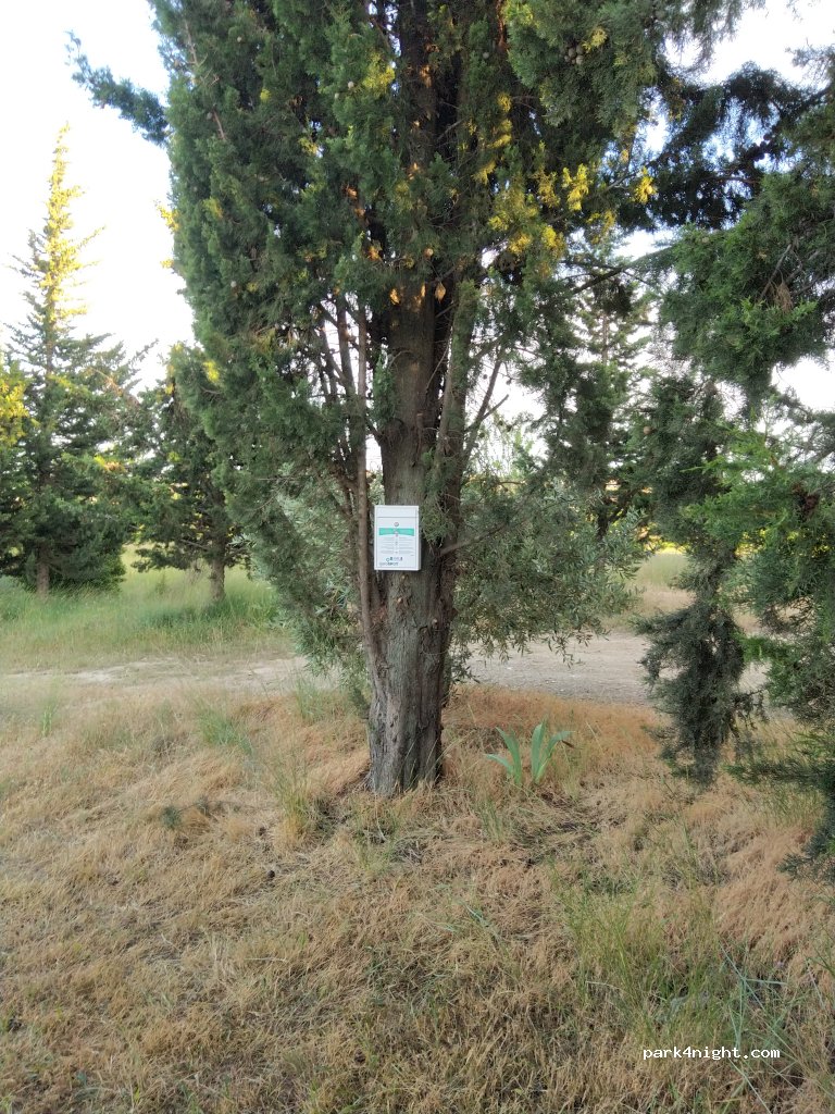 geoSPOT — foto 3