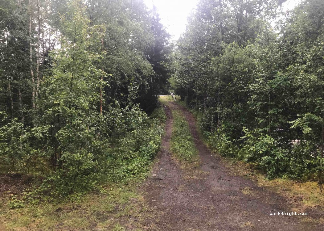 (7717) Steinkjer - 2474 Stodvegen — foto 3