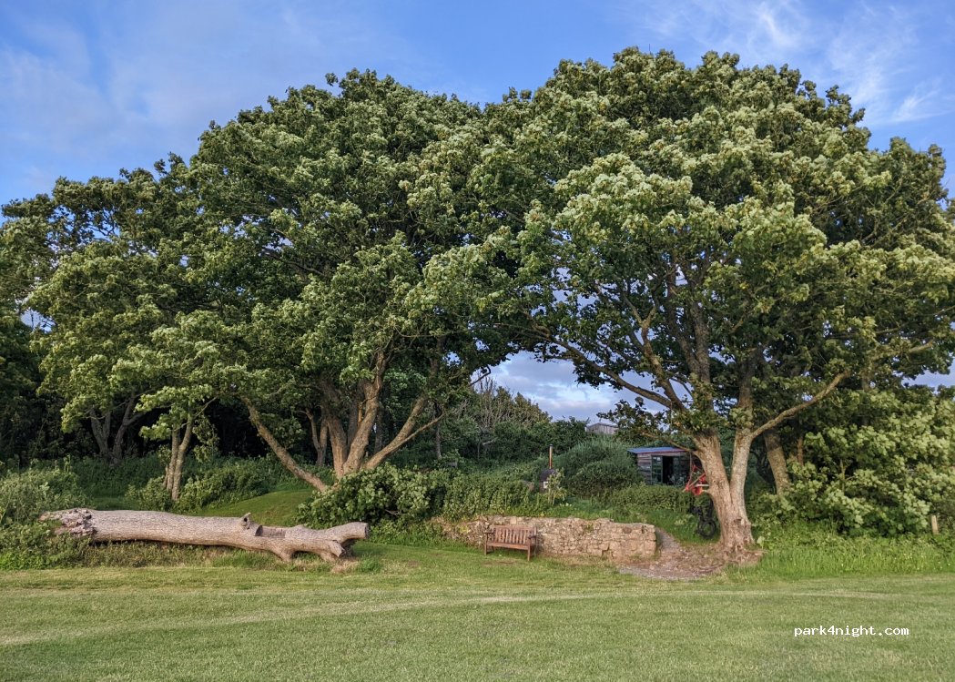 Becks Bay Camping — foto 2