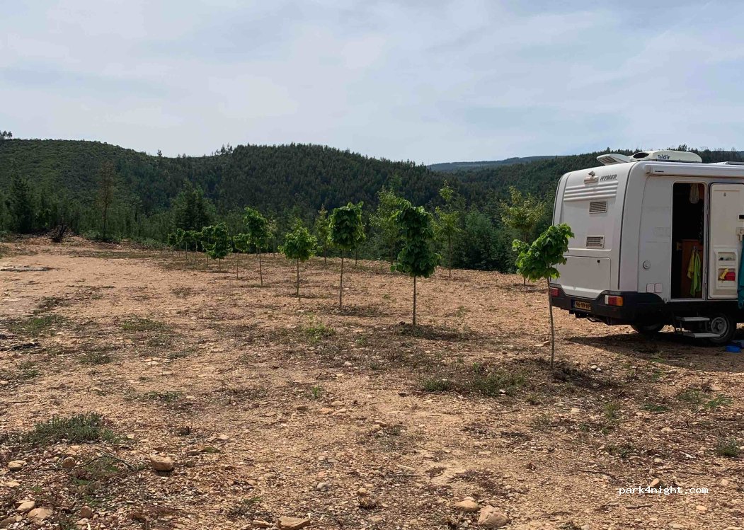 (3350) Lavegadas - R. Portela do Carvalho — foto 3
