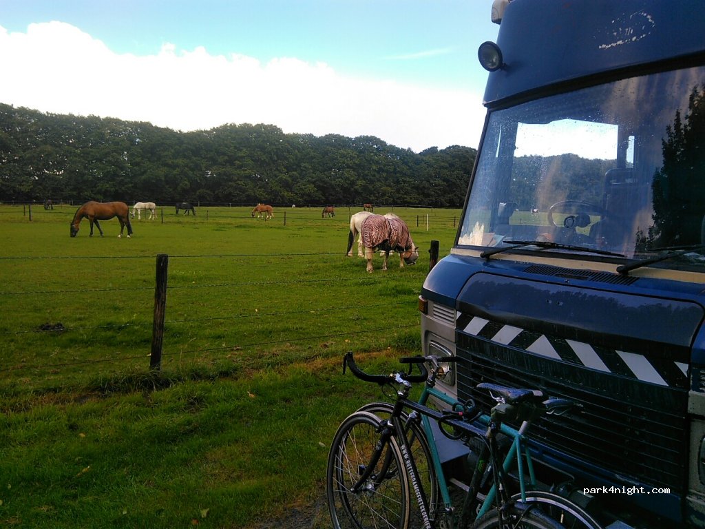 Camping De Groote Flierenberg — foto 2