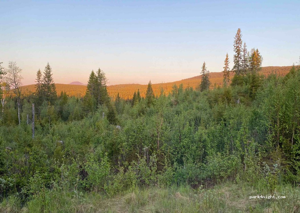 (833 98) Gäddede - Unnamed Road — foto
