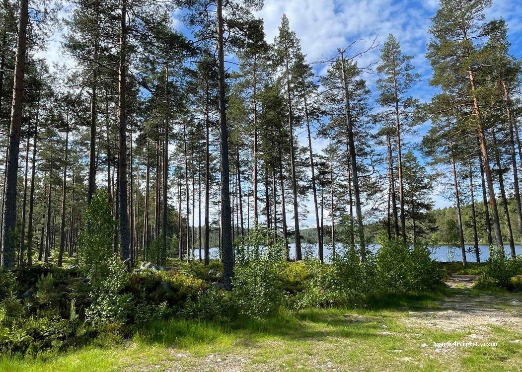 (820 29) Stråtjära - — foto