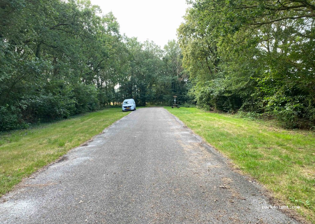 (9551 XP) Sellingen - Borgerweg — foto 2