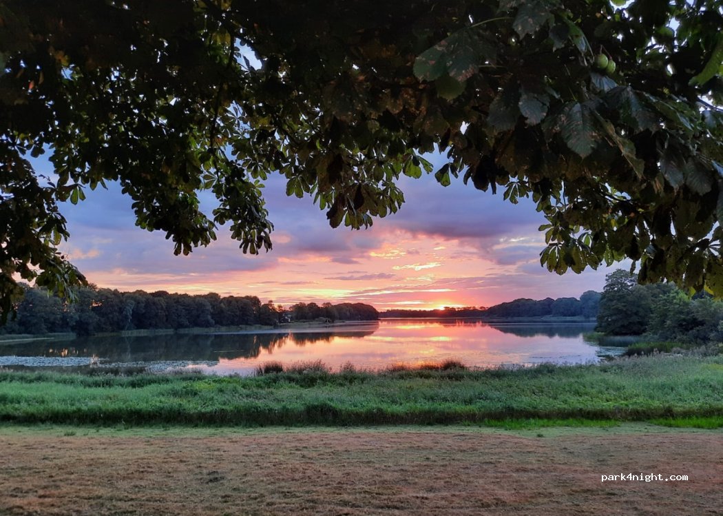 Seeblick Jürgenshagen — foto 4