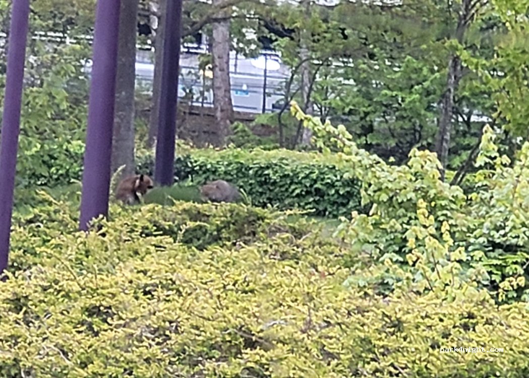 (DA9 9SB) Dartford - Bluewater Pkwy — foto 3