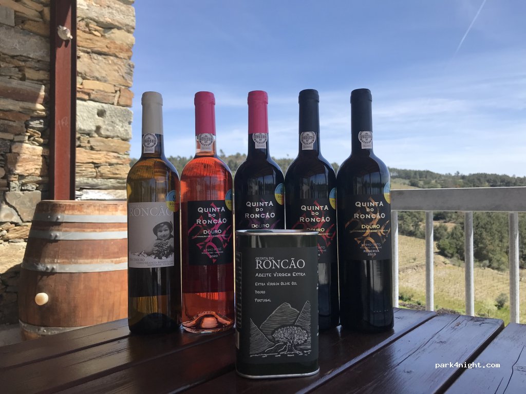 Quinta do Roncão | Vinhos & Azeite Douro | Visitas & Provas — foto 4