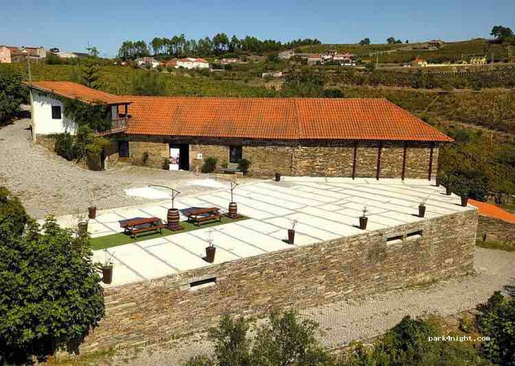 Quinta do Roncão | Vinhos & Azeite Douro | Visitas & Provas — foto 5