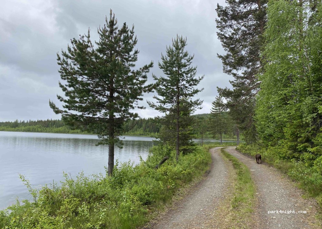 (912 90) Vilhelmina - Unnamed Road — foto 5