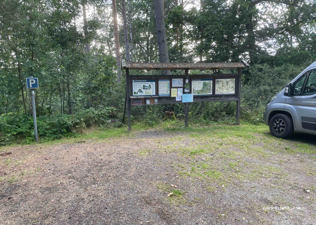 (615 92) Åsvikelandet - Unnamed Road — foto