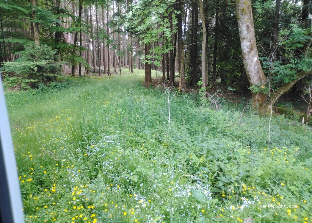 (54552) Boxberg - — foto