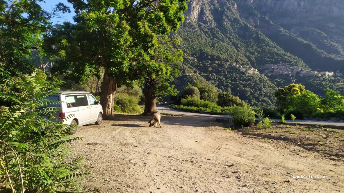 (20150) Ota - — foto 2