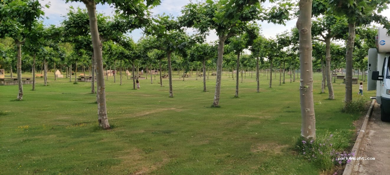 (09270) Cerezo de Río Tirón - 5 Calle Campo de Futbol — foto
