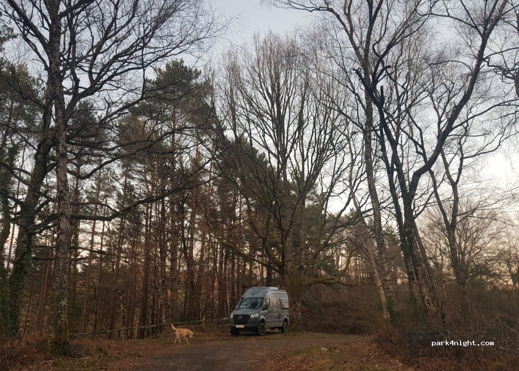 (46190) Sousceyrac-en-Quercy - — foto
