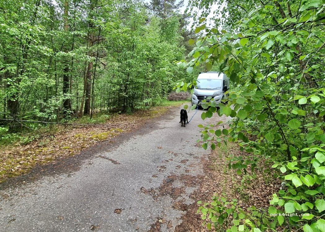 () Steane - 258 Steanevegen — foto