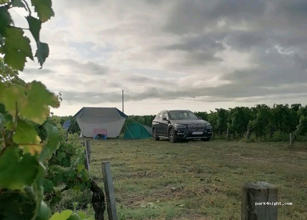 Château Haute-Nauve — foto 3