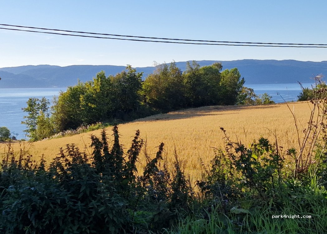 (7074) Trondheim - 1159 Hangerslettvegen — foto 2