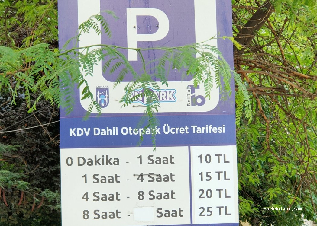 (06420) Çankaya - 1-1 Çaldıran Sokak — foto 2