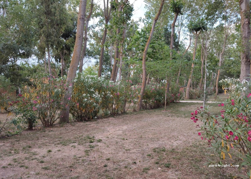 Les Mimosas - Camping Hérault | Camping Vias | Portiragnes — foto