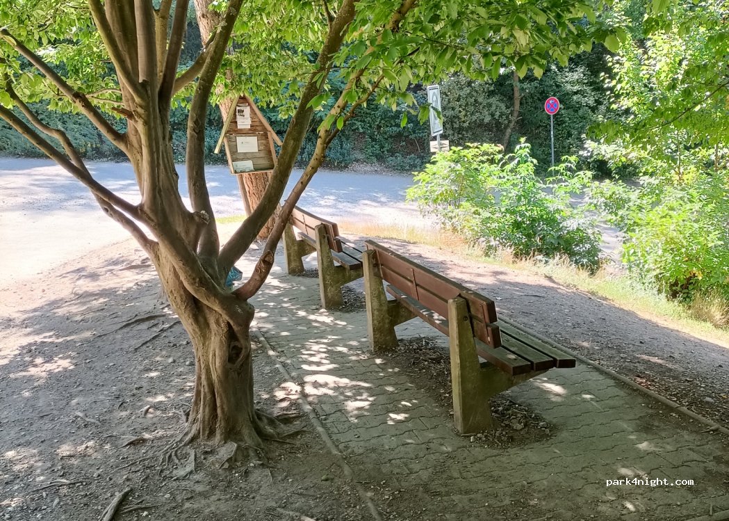 (69221) Dossenheim - 15 Oberer Burggarten — foto 3