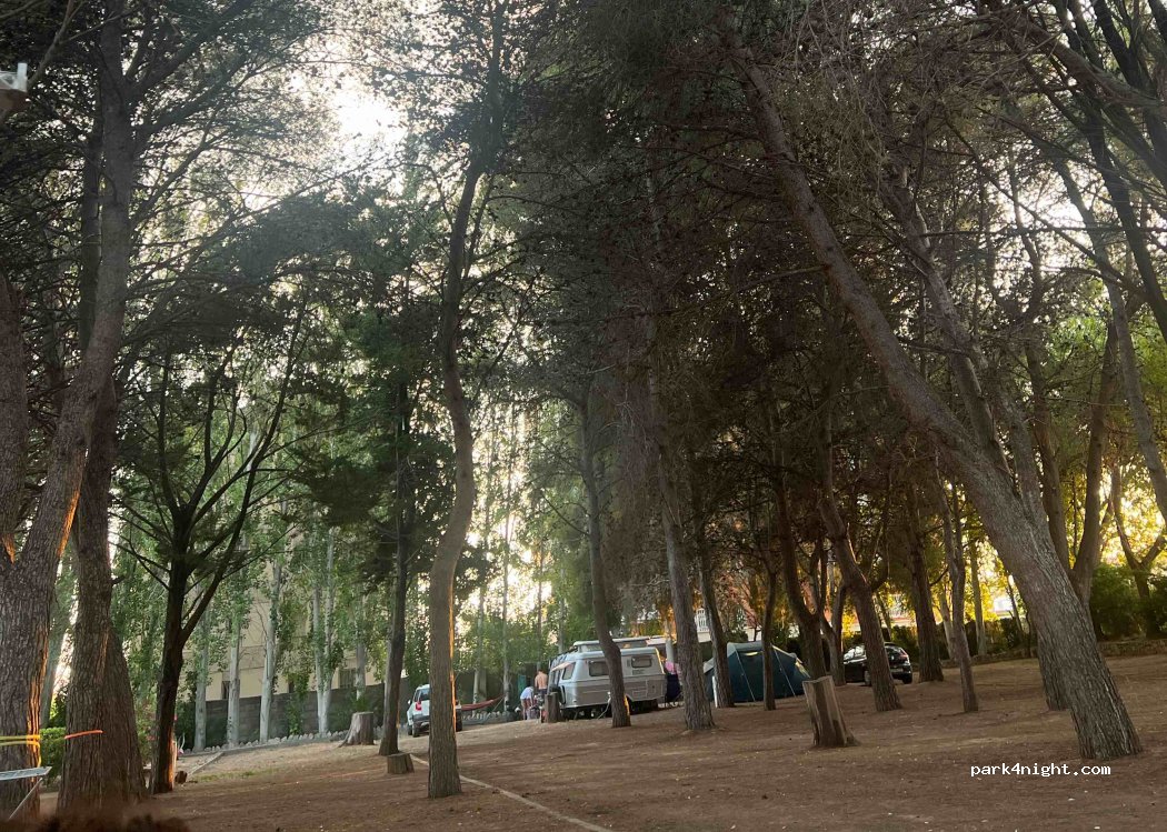 Camping la Rueda — foto 4