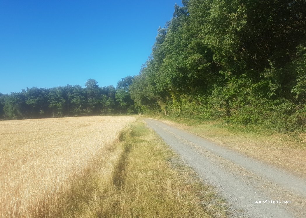(37800) Draché - Unnamed Road — foto
