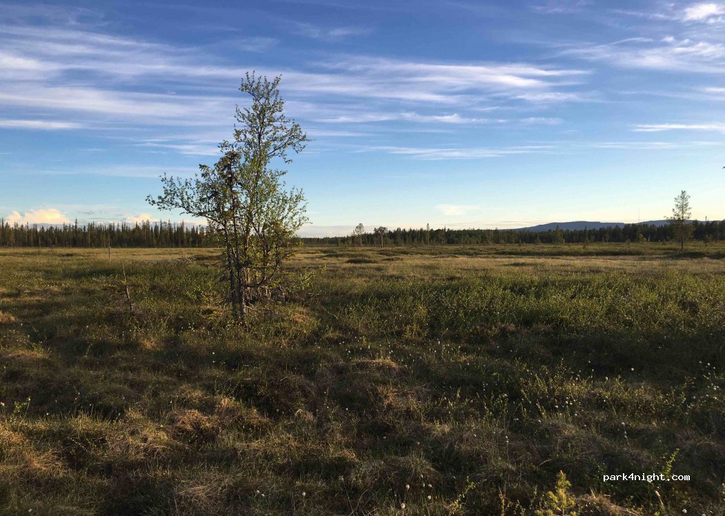 (981 92) Kiruna - — foto