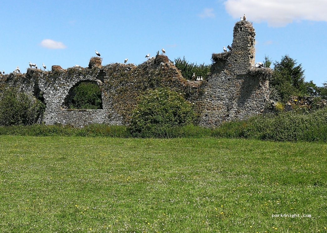 (50620) Saint-Fromond - 1 Château de la Rivière — foto 2
