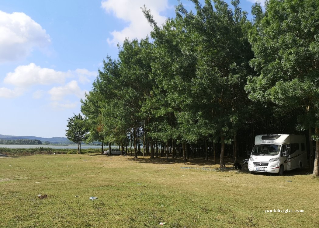(54210) Sakarya - — foto 3