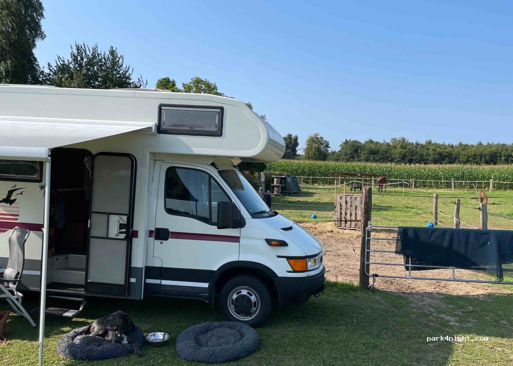 (47495) Rheinberg - 16 Drießen — foto 4