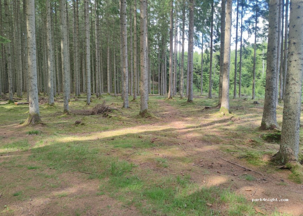 (305 94) Halmstad - Unnamed road — foto
