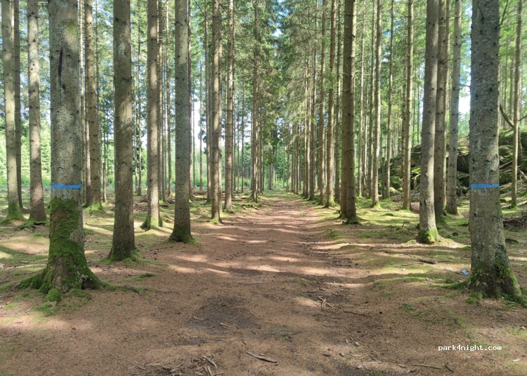 (305 94) Halmstad - Unnamed road — foto 2