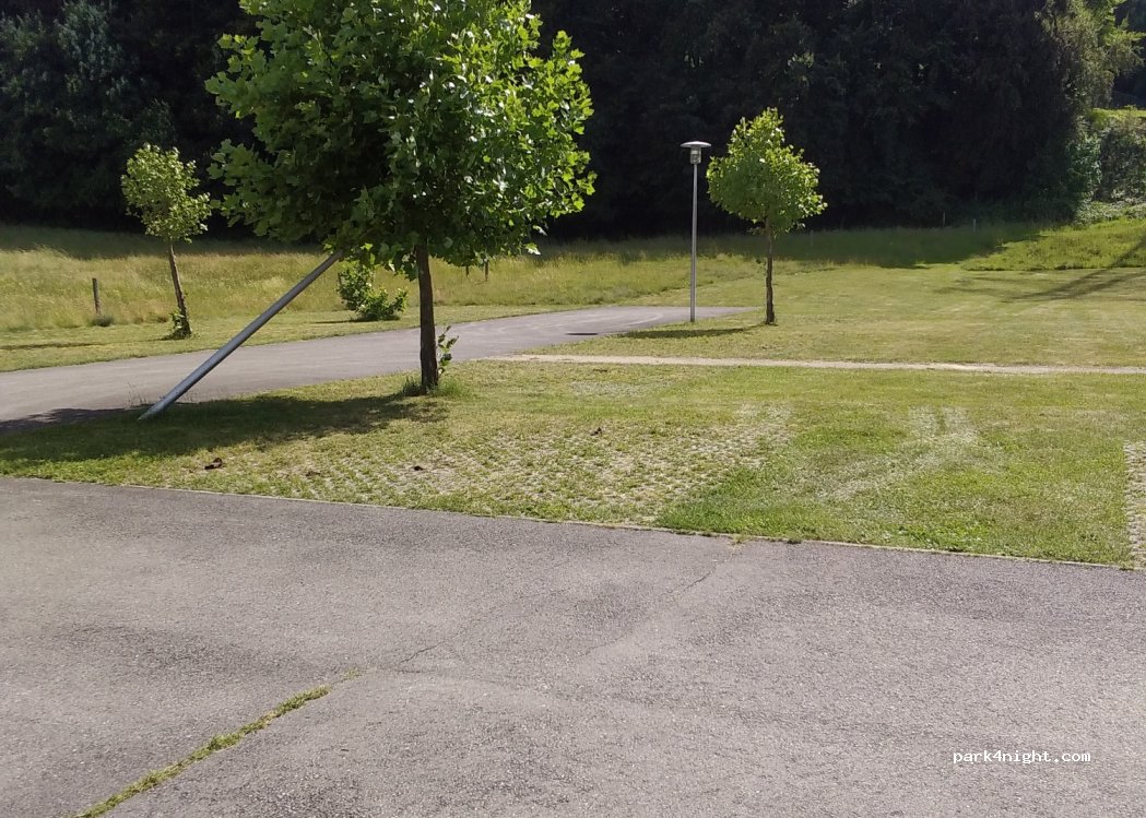(88460) Docelles - 20 Rue du Colonel Bertin — foto