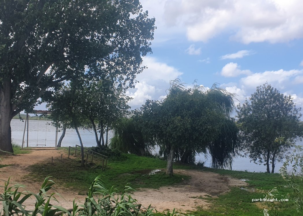 (2120-097) Salvaterra de Magos - Unnamed Road — foto 4