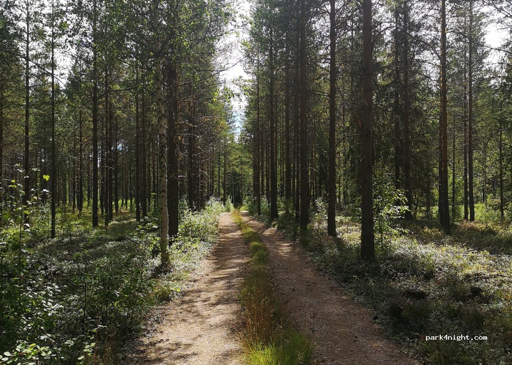 (782 75) Malungsfors - Unnamed road — foto 3