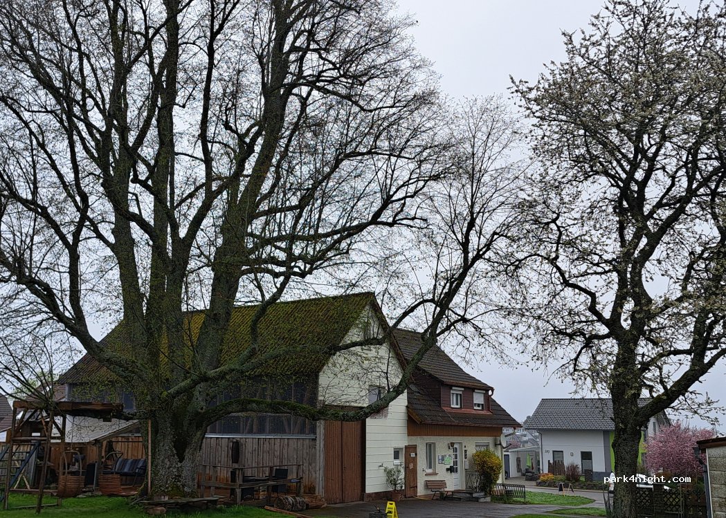 Wohnmobilstellplatz "Alte Hafnerei" — foto 5