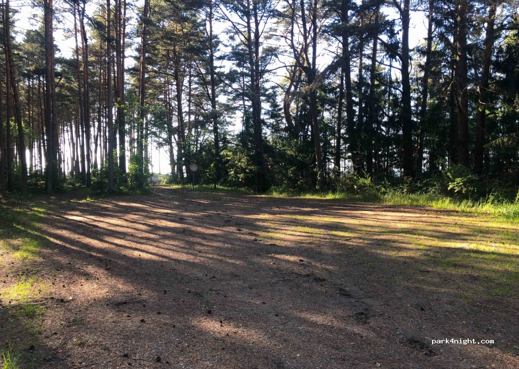 (45451) Rutja - Unnamed road — foto
