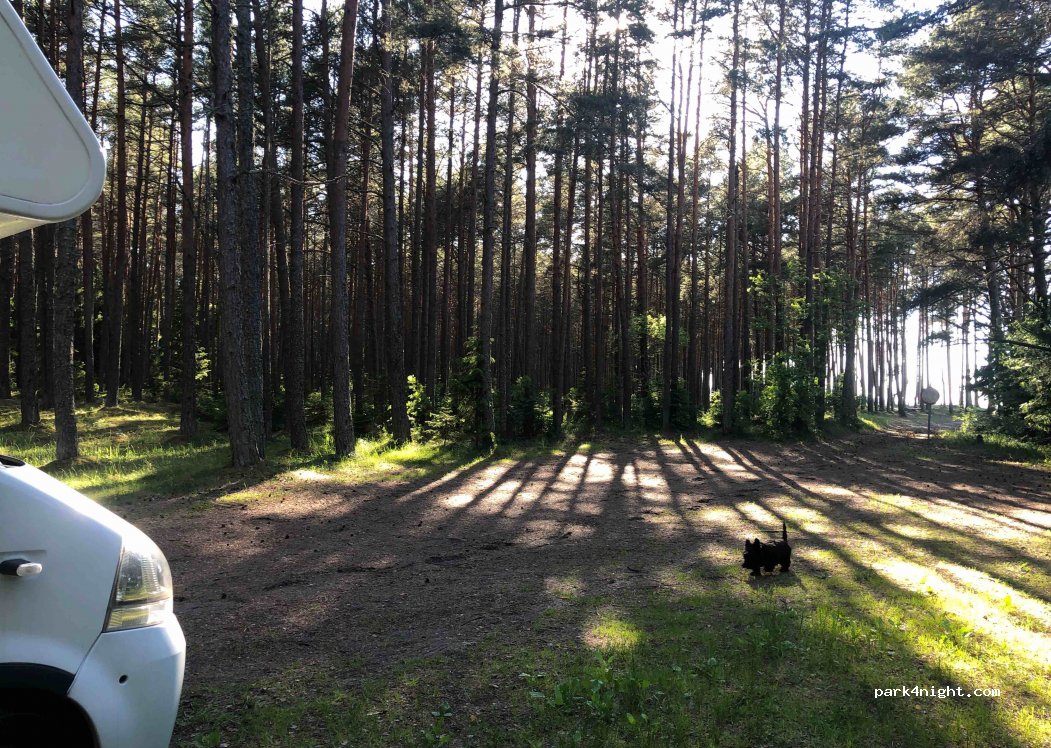 (45451) Rutja - Unnamed road — foto 2