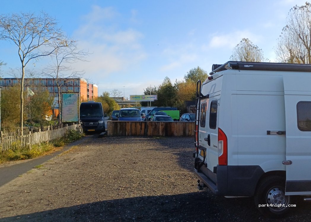 Camper Avenue — foto 5