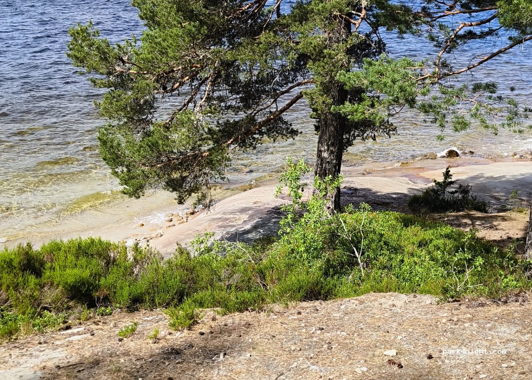 (3853) Vrådal - 2648 Kviteseidvegen — foto 4