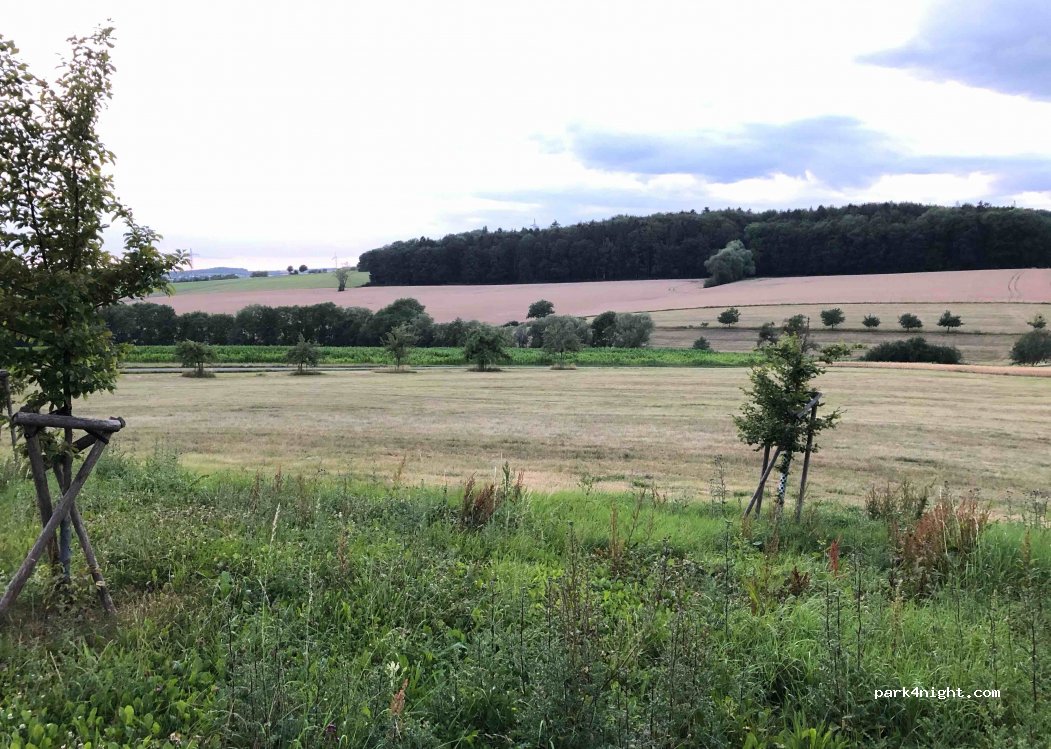 (54634) Metterich - 4 Tannenweg — foto
