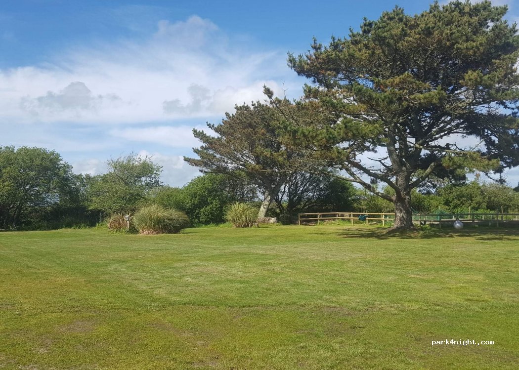 Bos lowen camping — foto 3