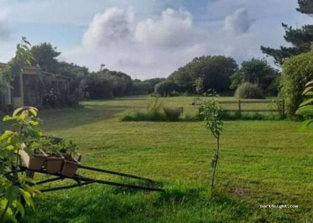 Bos lowen camping — foto 4