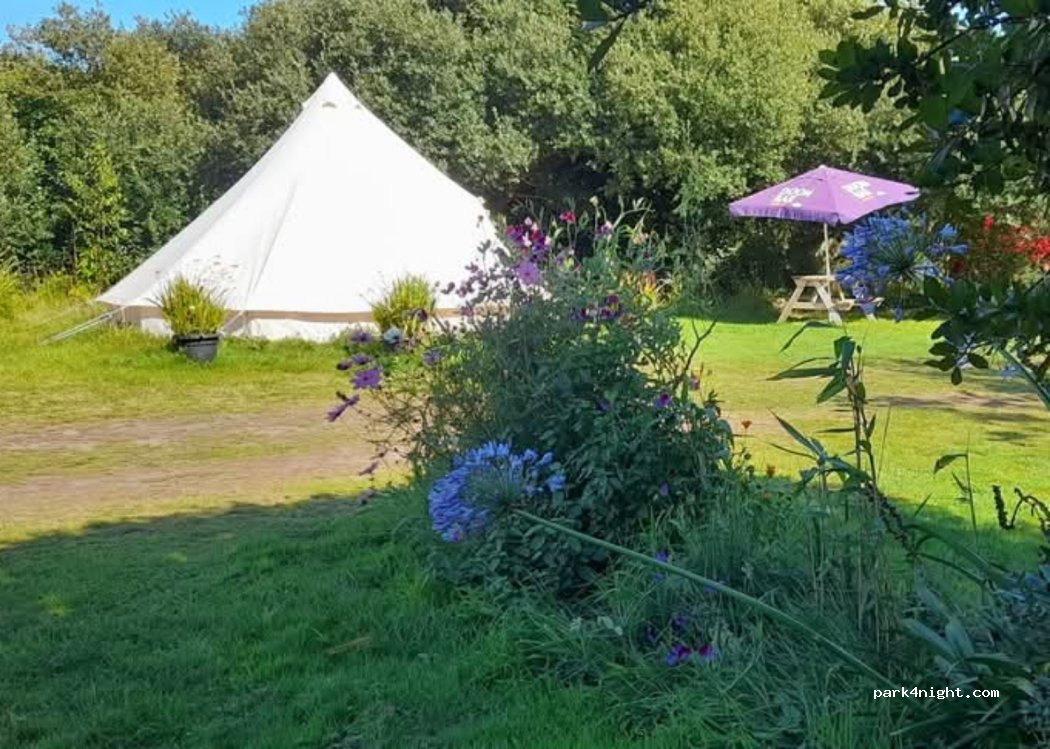 Bos lowen camping — foto 5
