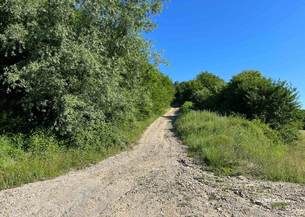 (Q3CW+CMP) Goleši - Unnamed road — foto