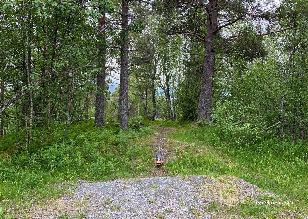 (5730) Ulvik - E6 — foto 3