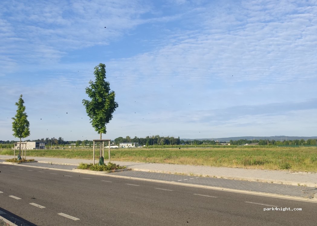 (53340) Meckenheim - 21 An der Allee — foto 3
