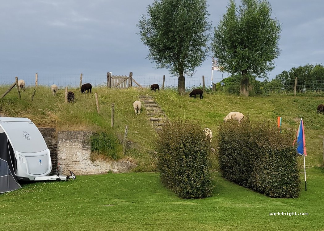 Camping De Wachtsluis & Theehuis Juffertje in het Groen — foto 4