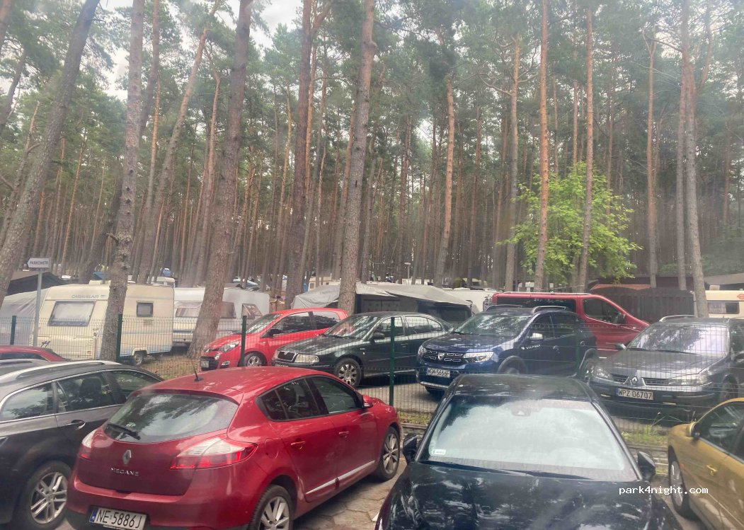 (82-110) Sztutowo - 9A Morska — foto 4